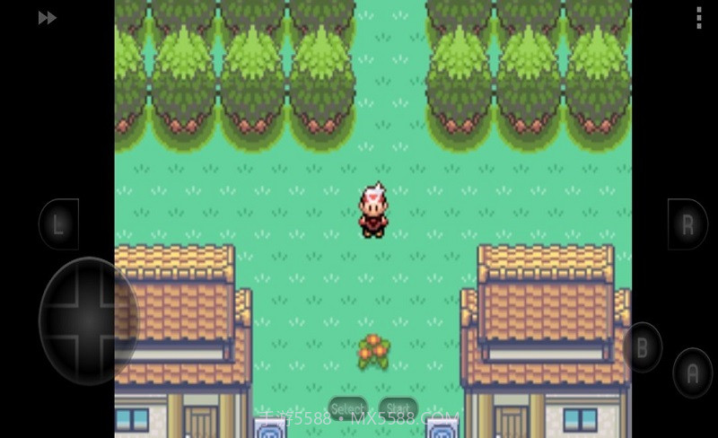 口袋妖怪漆黑的魅影截图4