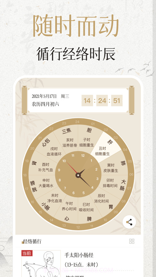 中济经络穴位截图4