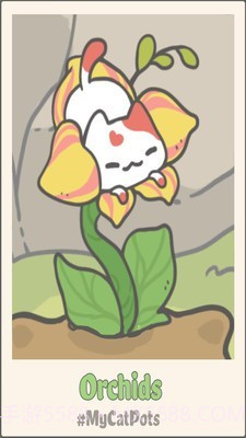 我的猫盆栽截图4