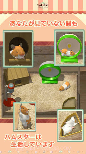 云仓鼠手机版截图2