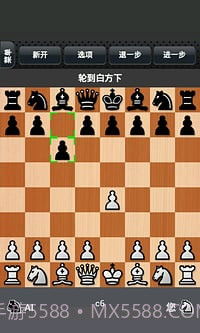 国际象棋下载官网免费截图4