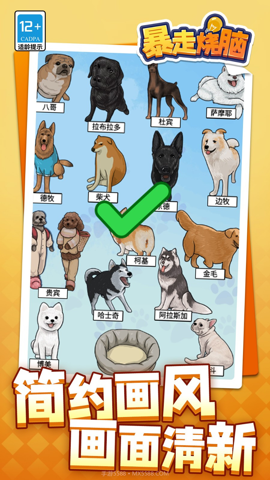 暴走烧脑国际版截图4