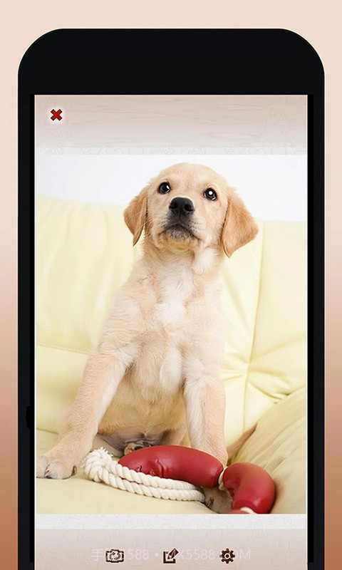 修狗翻译模拟器截图5