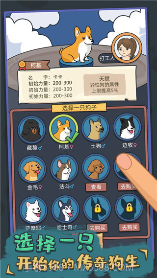 狗生模拟器免广告版截图2