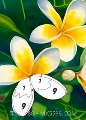 按编号花色截图1