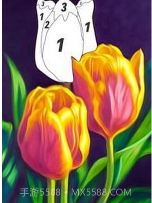 按编号花色截图3