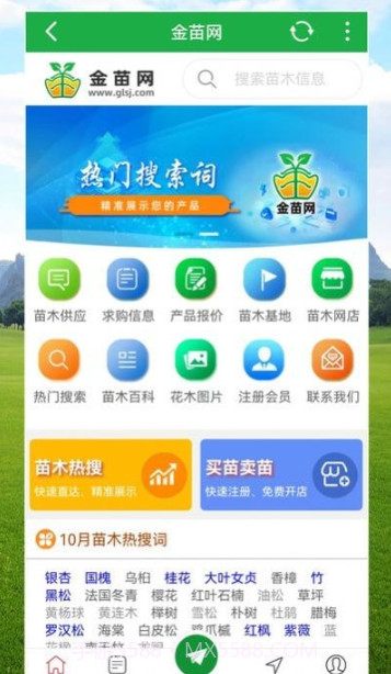 金苗网截图2