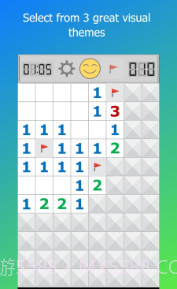 扫雷专业版截图3