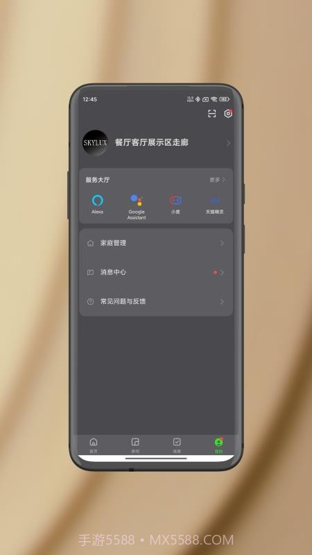 智能照明SK全新版本截图5
