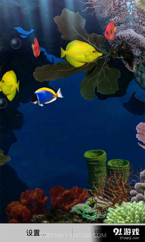 3D热带水族馆动态壁纸截图3 3D热带水族馆动态壁纸截图3