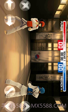 跆拳道大奖赛中文版截图3