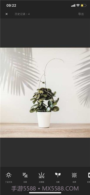 光影修图截图2 光影修图截图2