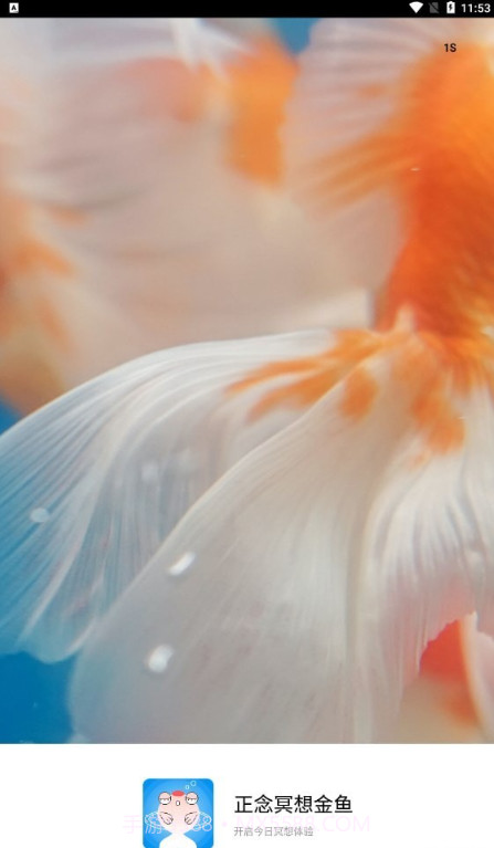 正念冥想金鱼截图1