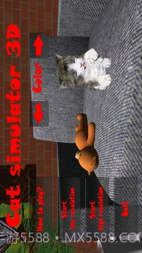 小猫模拟器截图1