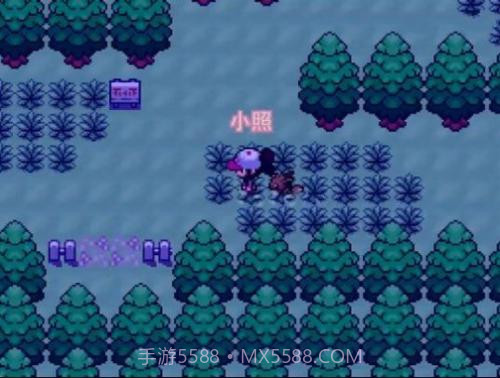 口袋妖怪零维e界截图2