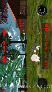 小猫模拟器截图5