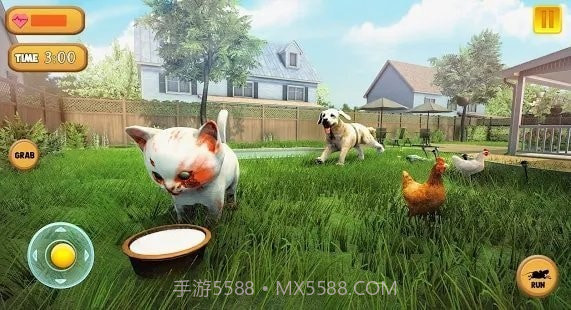 小猫玩耍模拟器截图1