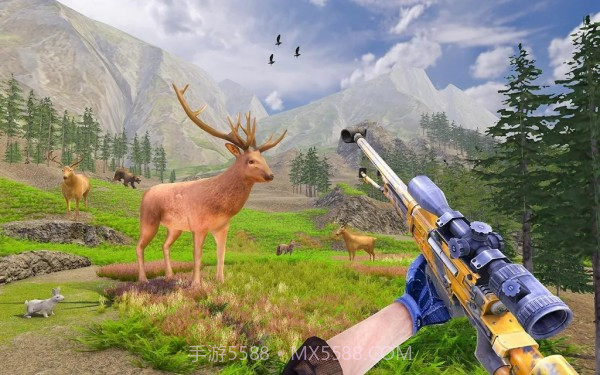 野鹿猎杀之旅截图4 野鹿猎杀之旅截图4