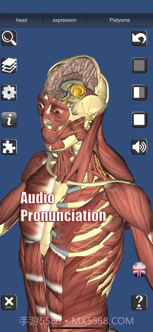 3D解剖截图4