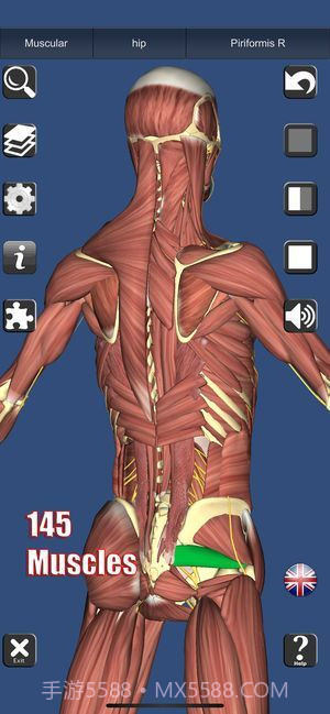 3D解剖截图5
