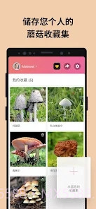 Picture Mushroom蘑菇识别扫一扫截图5 Picture Mushroom蘑菇识别扫一扫截图5
