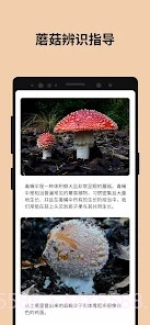 Picture Mushroom蘑菇识别扫一扫截图3 Picture Mushroom蘑菇识别扫一扫截图3