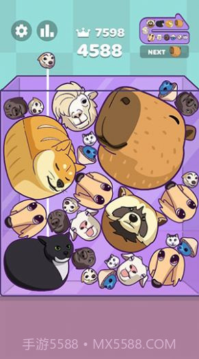 西瓜拼图水豚合并截图1