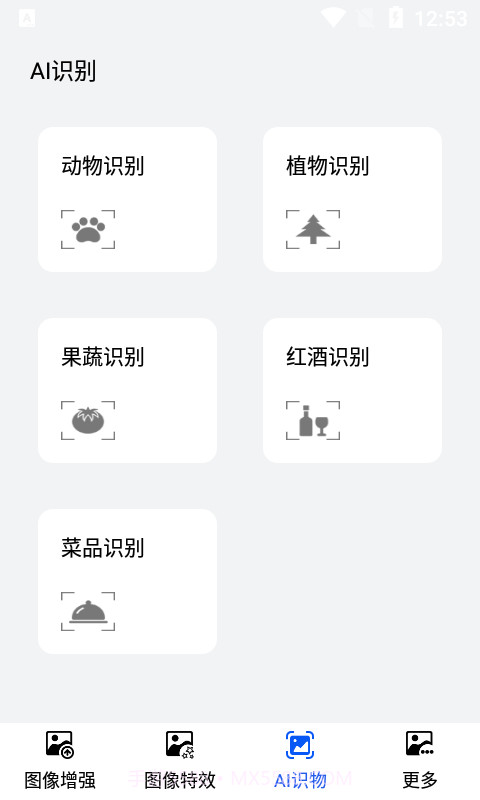 枫叶图片识别截图1