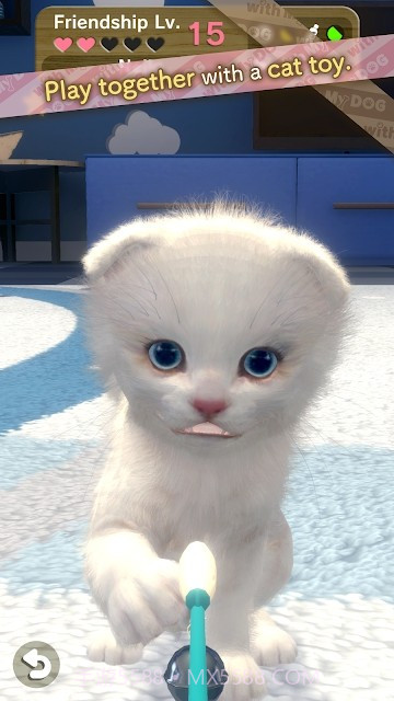 与我的猫咪截图4